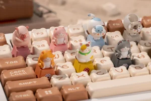 Akko-Zoom-Artisan-Keycap-Banner-1500-1500