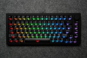 MonsGeek-M1-V5-HE-Black-Transparent_5_ab845a0b-fabc-4a13-b282-2b128ecb5fe1